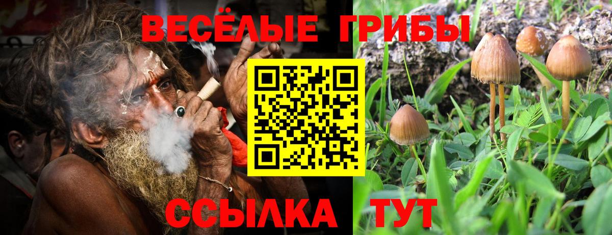 Альметьевск  Псилоцибиновые грибы ЛСД  Вход с VPN 