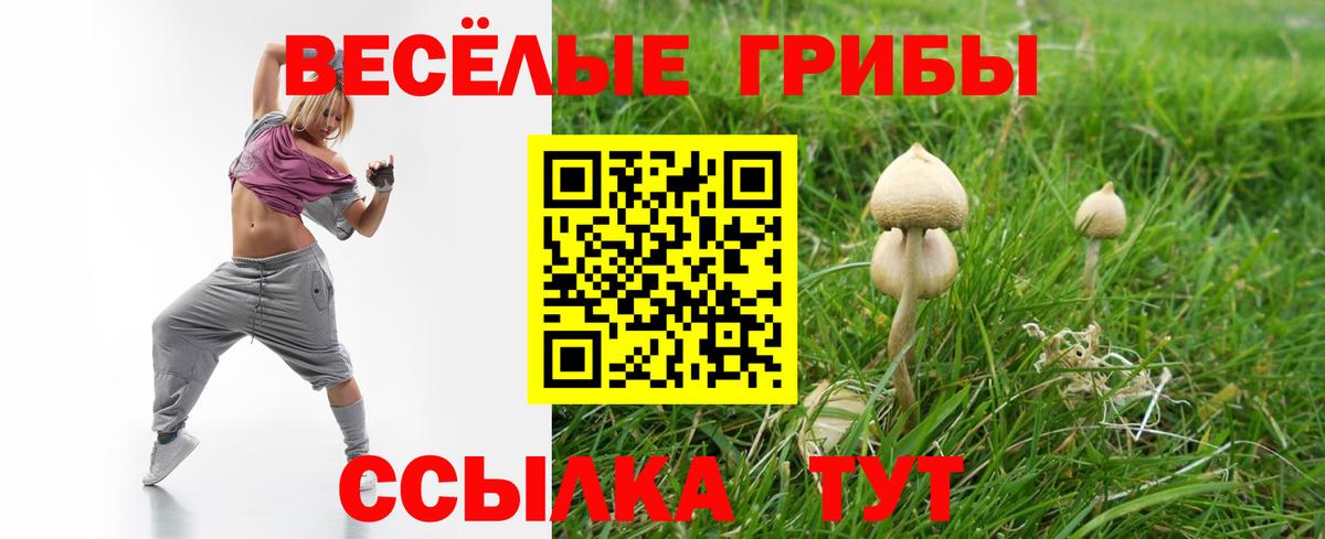 Псилоцибиновые грибы Psilocybine cubensis Альметьевск